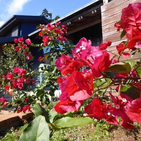 Pension Blue Drop Acomodação com café da manhã Yakushima  Exterior foto