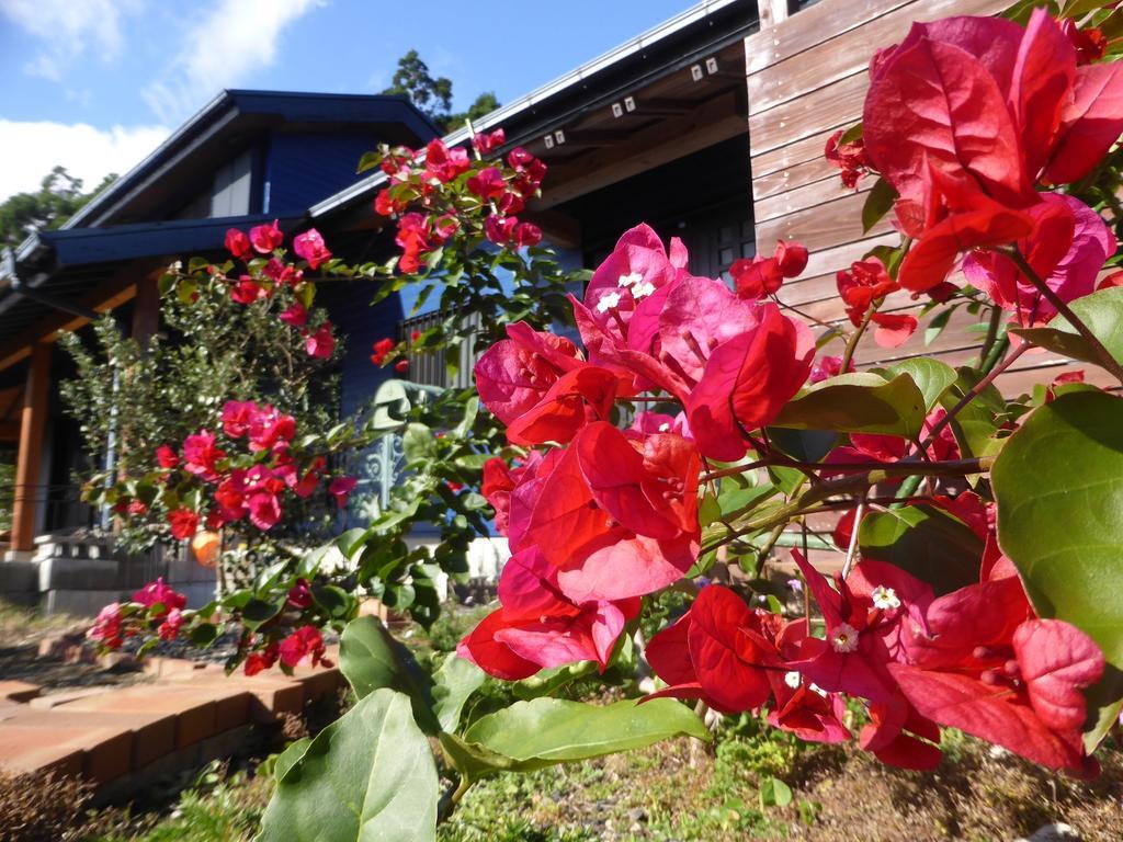 Pension Blue Drop Acomodação com café da manhã Yakushima  Exterior foto