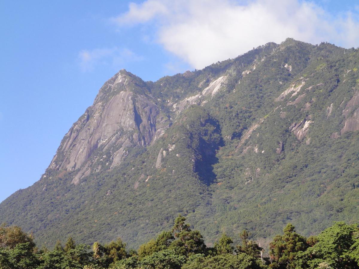 Pension Blue Drop Acomodação com café da manhã Yakushima  Exterior foto